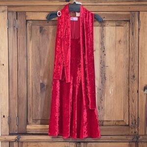 Alexandra La Jolla,Ca Two Piece Crushed Silk Velvet Dress & Arm Shawl Sz. S